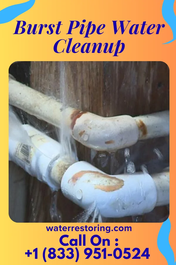 Burst Pipe Water Cleanup in Fowler, MI