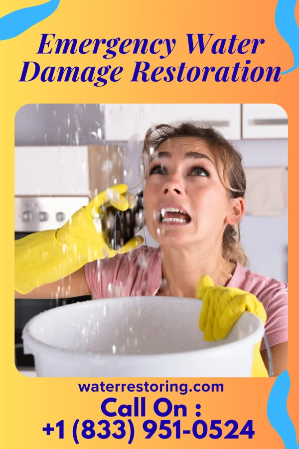 Emergency Water Damage Restoration in Fowler, MI