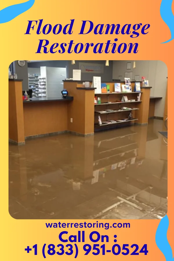 Flood Damage Restoration in Fowler, MI