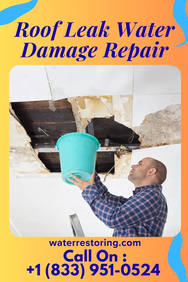 Roof Leak Water Damage Repair in Fowler, MI