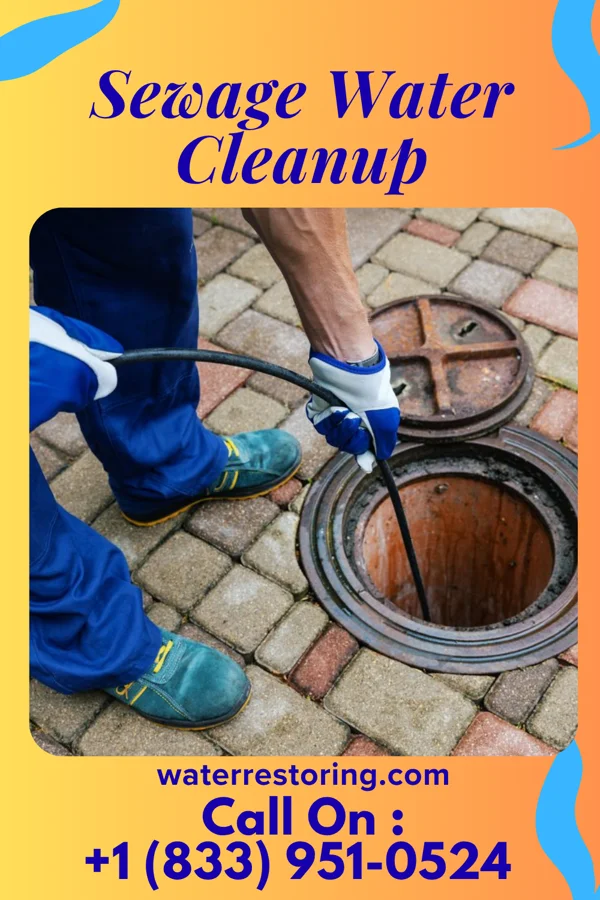 Sewage Water Cleanup in Fowler, MI